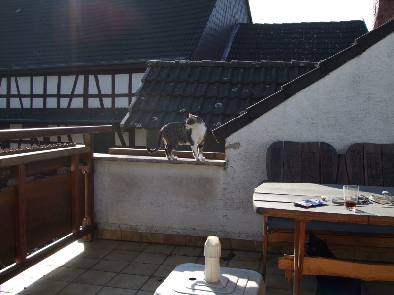 Ostern 2007 Orleshausen 060 